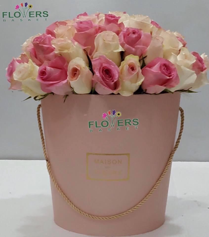 Blush Luxury Dome view 2