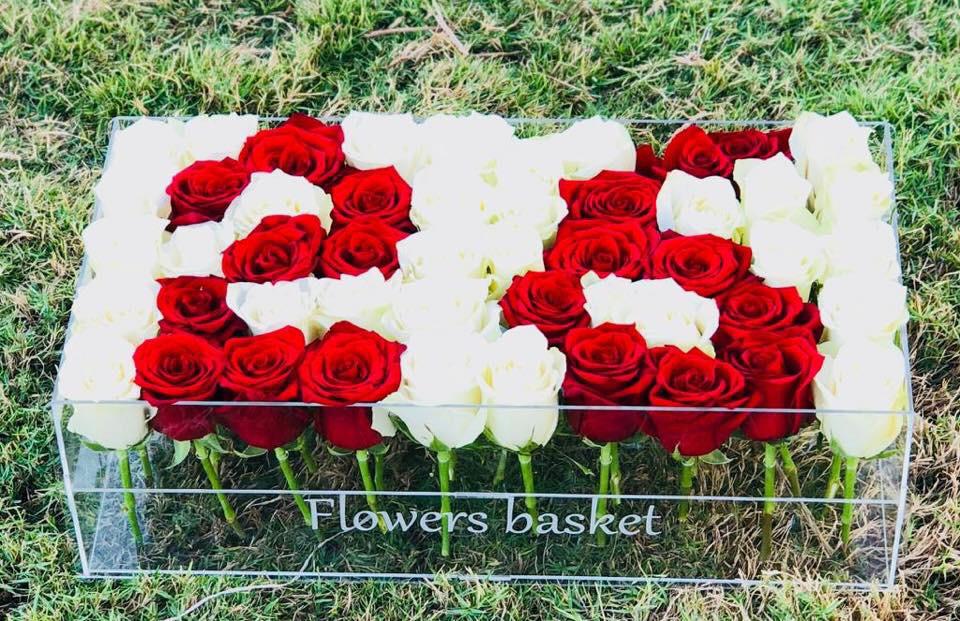 Crystal Contrast view 2