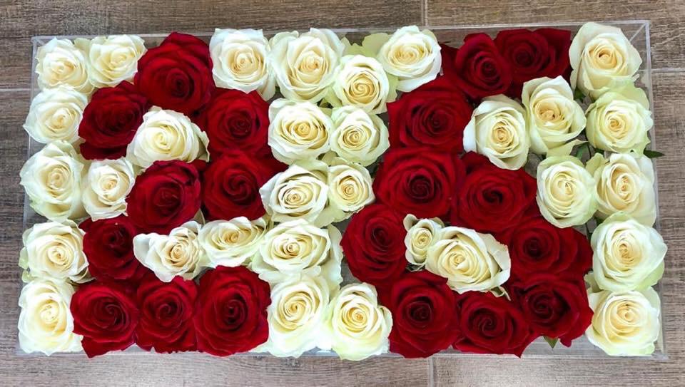 Crystal Contrast view 3