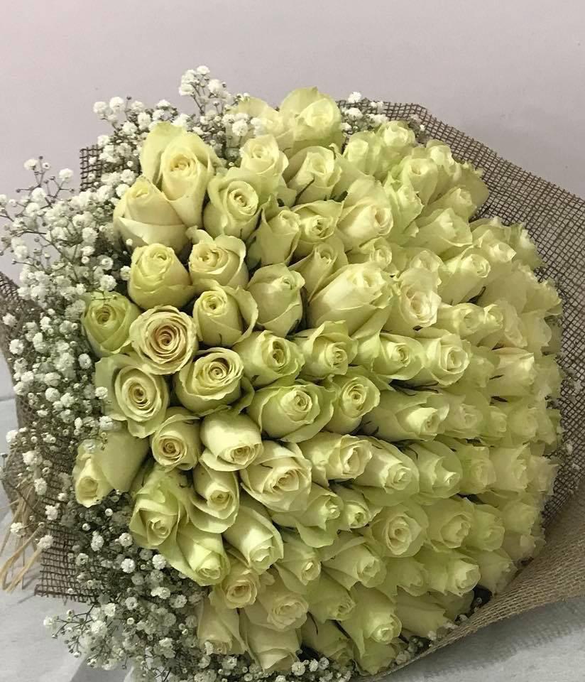 Heavenly White view 2