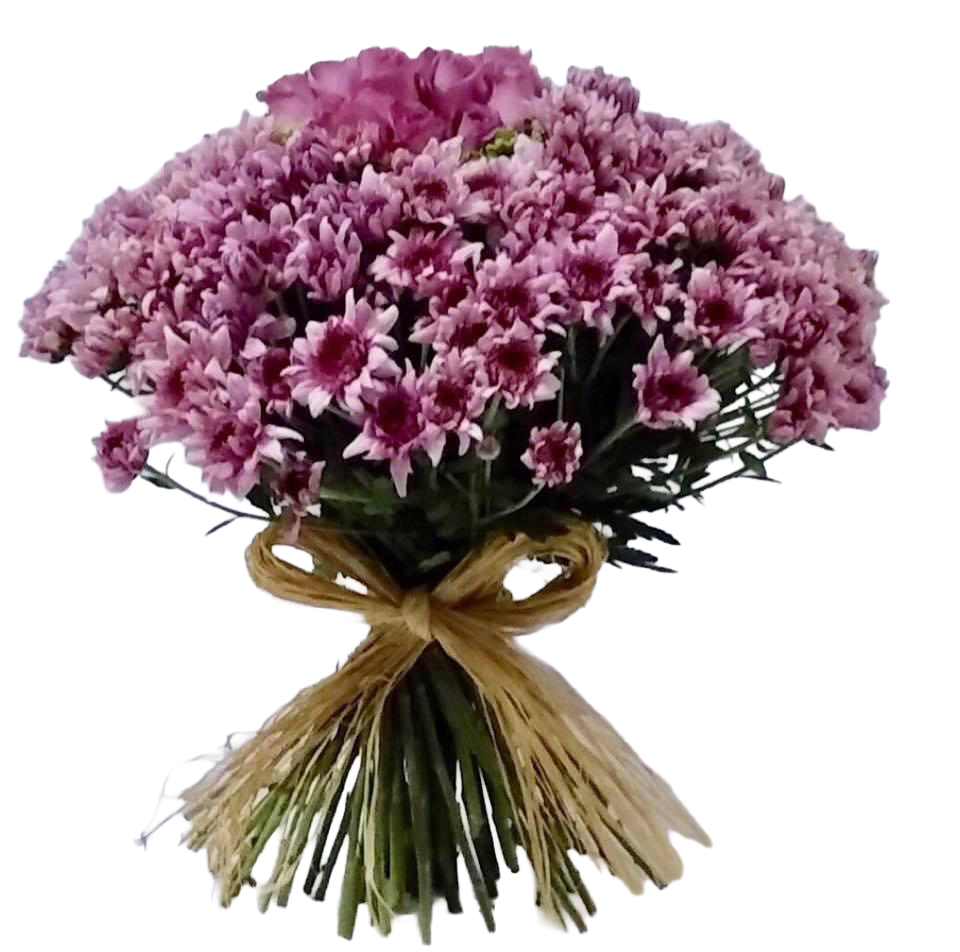 Lavender Mum Bundle