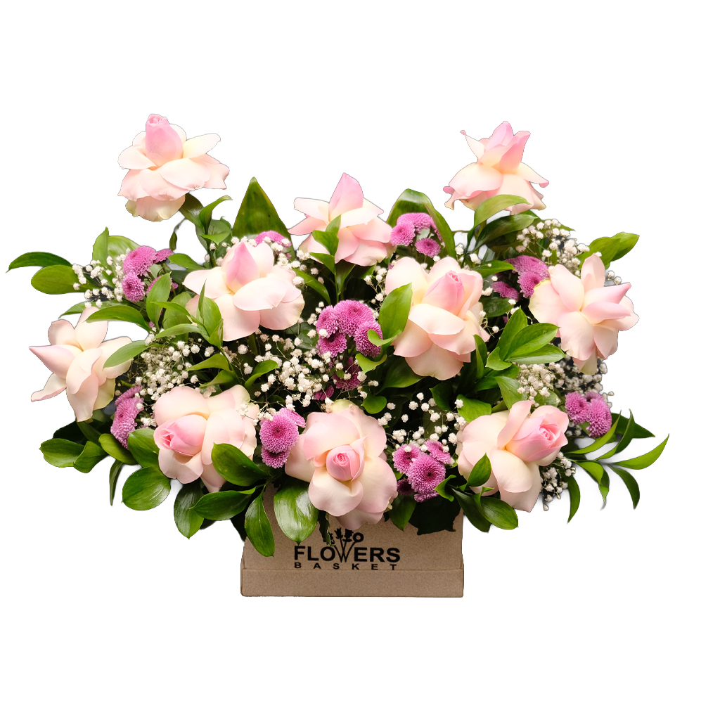 Pink Paradise in a Box