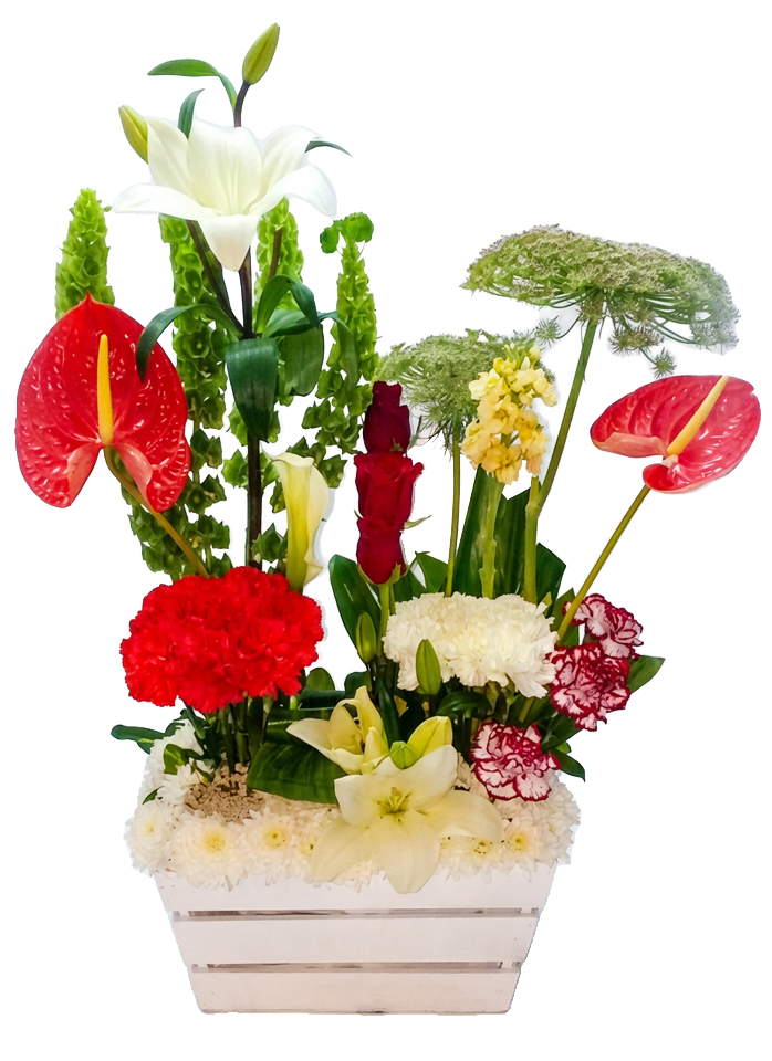 Exotic Garden Collection