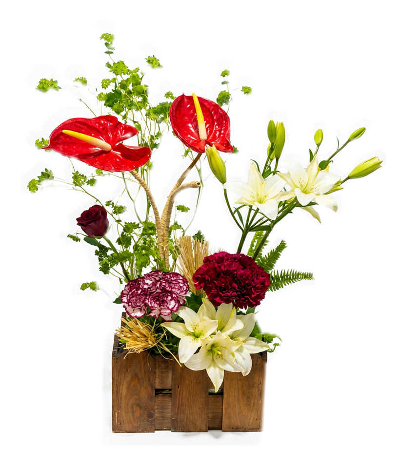 Architectural Garden Box