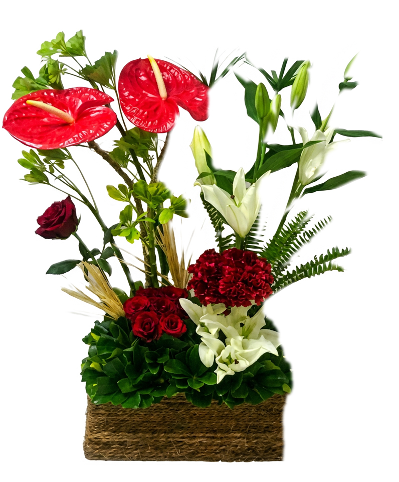 Red & White Paradise